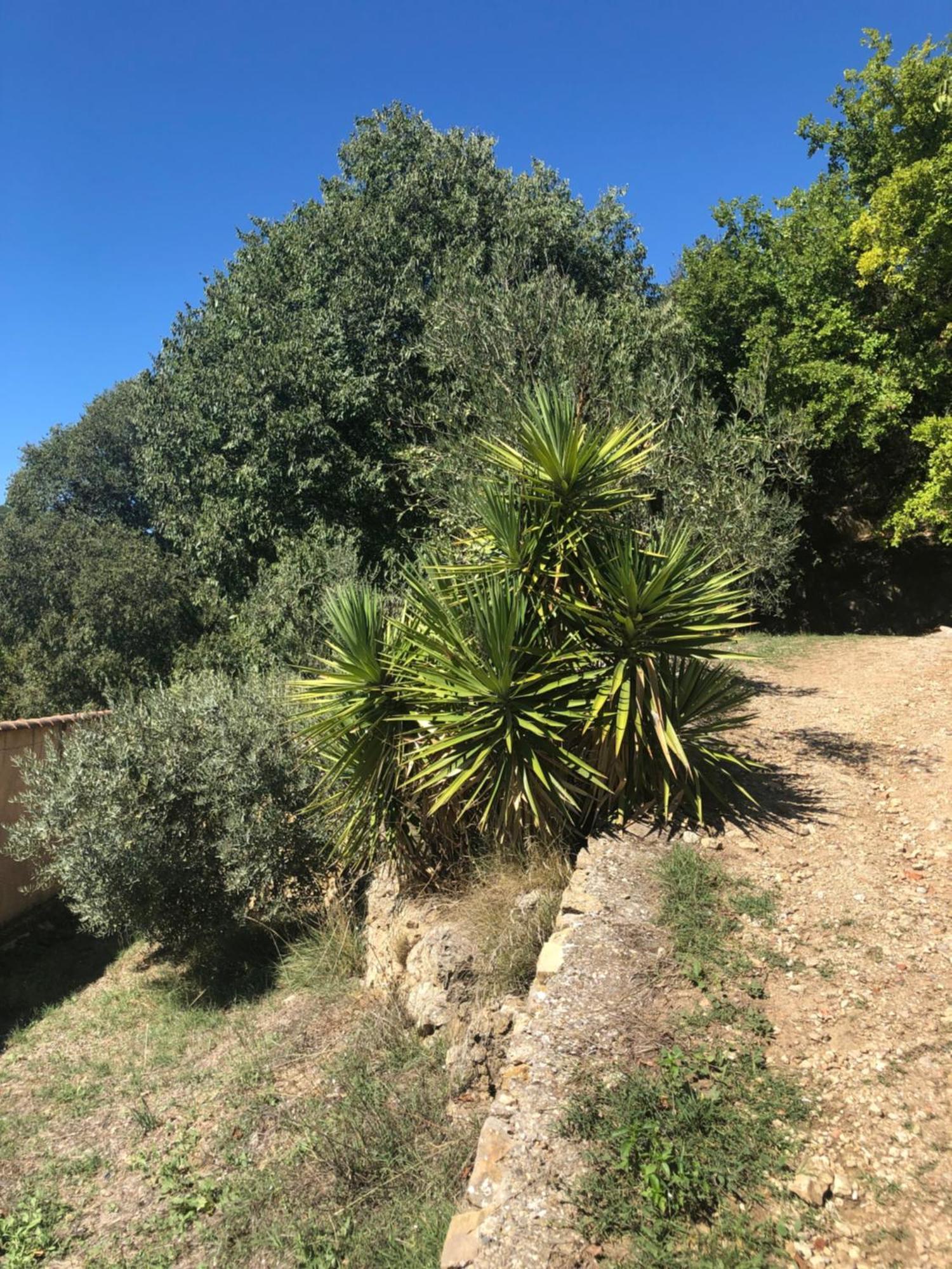 L'Olivier Fleurie Barjols Villa Luaran gambar