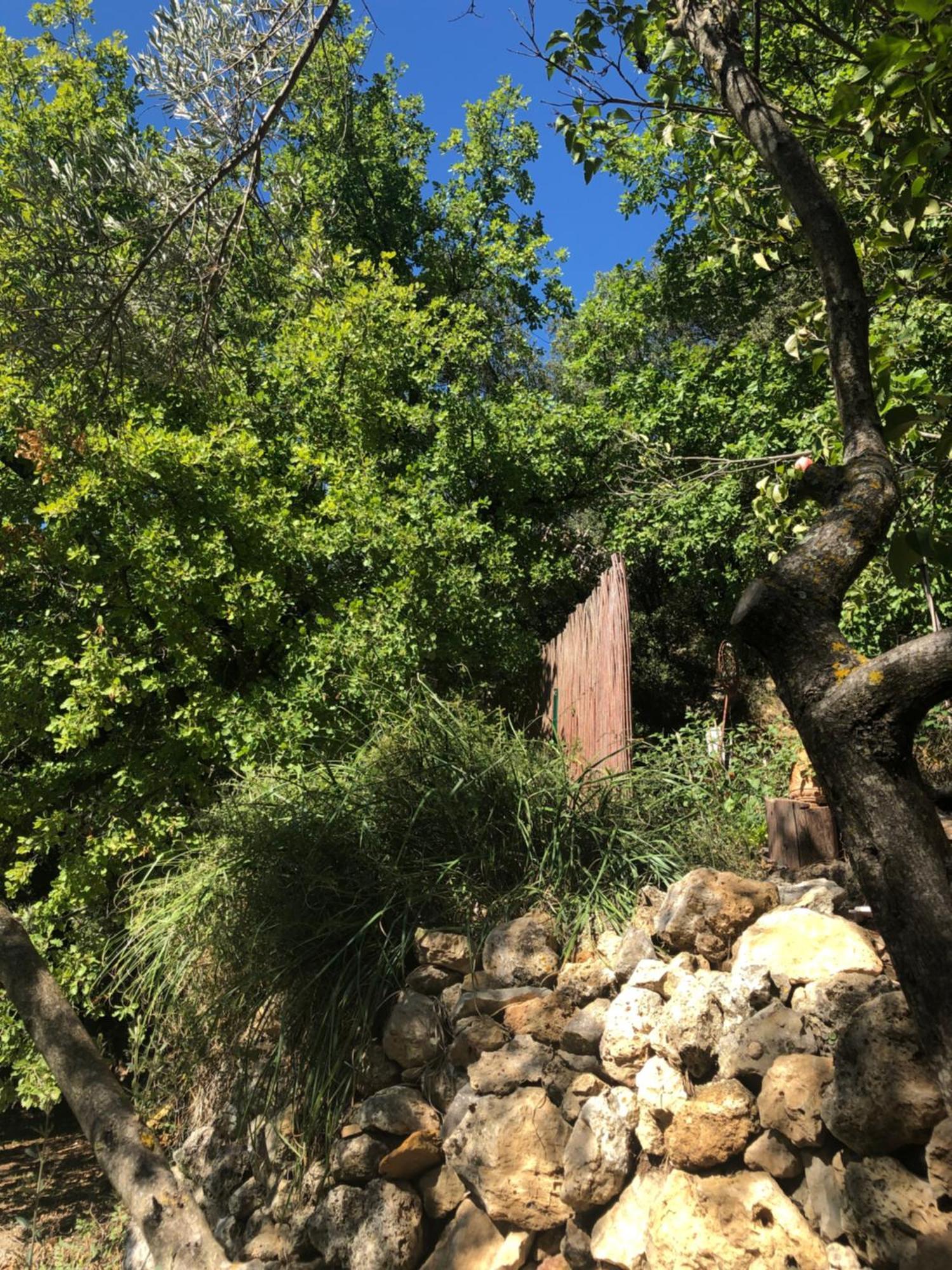 L'Olivier Fleurie Barjols Villa Luaran gambar